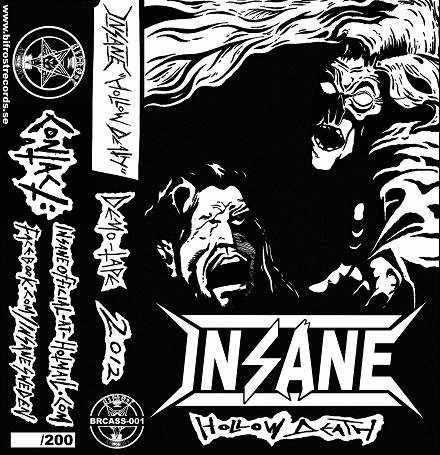 Insane (SWE) : Hollow Death